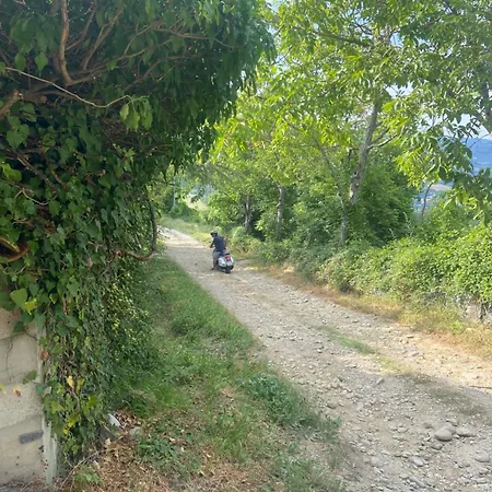 Bed & Breakfast Stanza Nel Bosco Canova Di Biforco