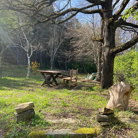 Stanza Nel Bosco Canova Di Biforco Bed & Breakfast