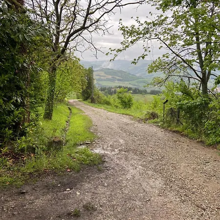 Bed & Breakfast Stanza Nel Bosco Canova Di Biforco 3*