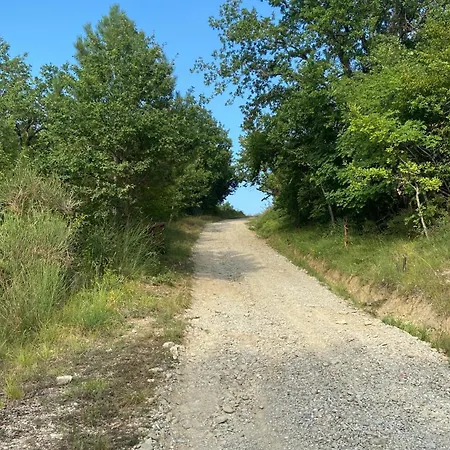 Stanza Nel Bosco Canova Di Biforco 3* Rocca San Casciano