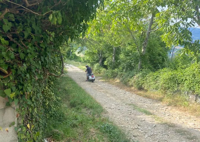 Bed & Breakfast Stanza Nel Bosco Canova Di Biforco