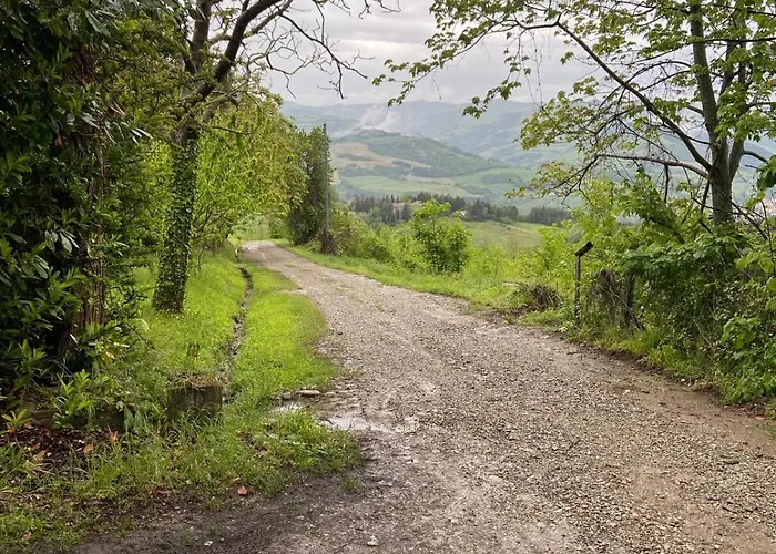 Bed & Breakfast Stanza Nel Bosco Canova Di Biforco 3*