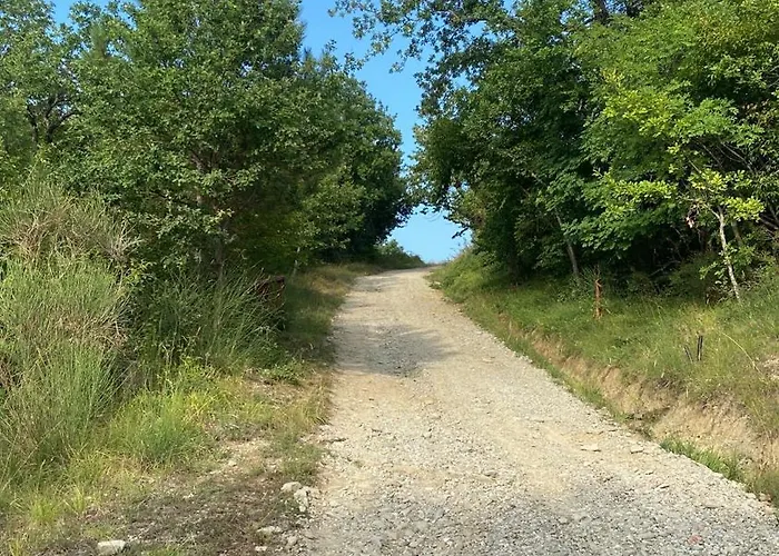 Stanza Nel Bosco Canova Di Biforco 3* Rocca San Casciano