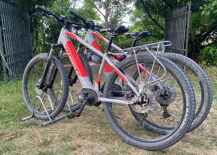 Stanza Nel Bosco Canova Di Biforco Bed & Breakfast Rocca San Casciano